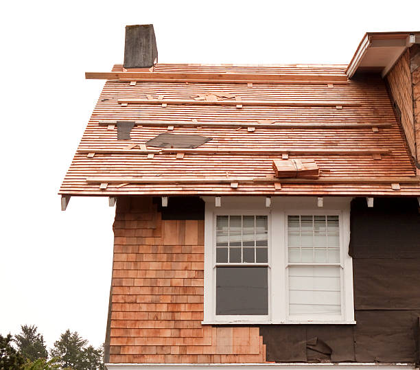 Best Storm Damage Siding Repair  in Vernon Hls, IL